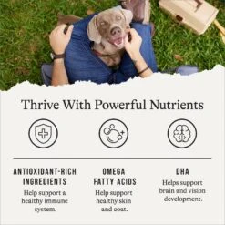 American Journey Limited Ingredient Lamb & Sweet Potato Recipe Grain-Free Dry Dog Food -Snuggle Paws 121256 PT4. AC SS1800 V1665439107