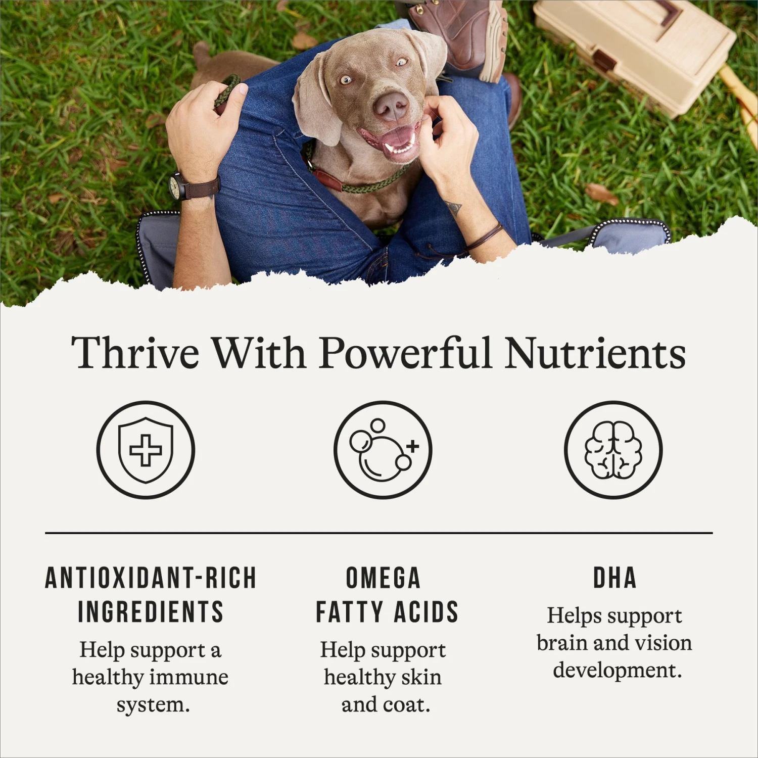 American Journey Limited Ingredient Duck & Sweet Potato Recipe Grain-Free Dry Dog Food 7 American Journey Limited Ingredient Duck & Sweet Potato Recipe Grain-Free Dry Dog Food - Image 5