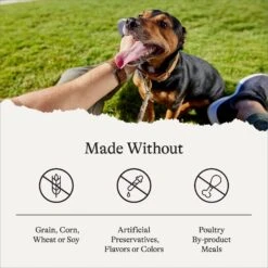 American Journey Limited Ingredient Duck & Sweet Potato Recipe Grain-Free Dry Dog Food 17 American Journey Limited Ingredient Duck & Sweet Potato Recipe Grain-Free Dry Dog Food -Snuggle Paws 121306 PT6. AC SS1800 V1680545231