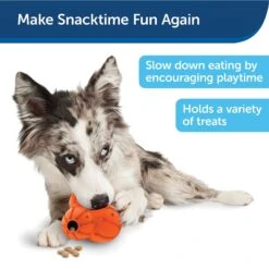 PetSafe Busy Buddy Barnacle Treat Dispenser Dog Toy -Snuggle Paws 121351 PT4. AC SS1800 V1599830787