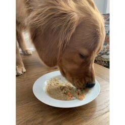 Caru Daily Dish Turkey With Lamb Stew Grain-Free Wet Dog Food -Snuggle Paws 121572 PT4. AC SS1800 V1700170097
