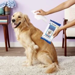 International Veterinary Sciences Quick Bath Large Breed Dog Wipes -Snuggle Paws 121978 PT3. AC SS1800 V1543877280
