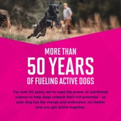 Eukanuba Puppy Mixed Grill Chicken & Beef Dinner In Gravy Canned Dog Food 15 Eukanuba Puppy Mixed Grill Chicken & Beef Dinner In Gravy Canned Dog Food -Snuggle Paws 121990 PT5. AC SS1800 V1696449944