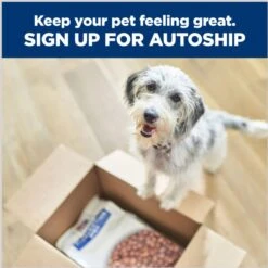 Hill's Prescription Diet K/d Kidney Care + Mobility Care With Chicken & Vegetable Stew Canned Dog Food -Snuggle Paws 122115 PT8. AC SS1800 V1688761273