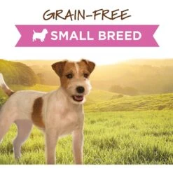 Instinct Original Small Breed Grain-Free Real Beef Recipe Wet Canned Dog Food 11 Instinct Original Small Breed Grain-Free Real Beef Recipe Wet Canned Dog Food -Snuggle Paws 122331 PT1. AC SS1800 V1548802680