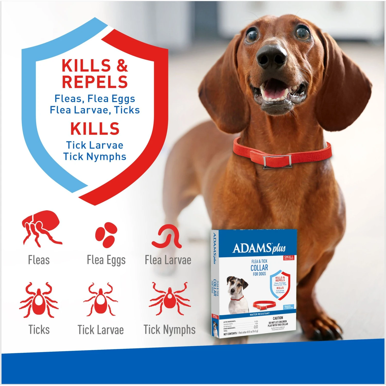 Adams® Adams Flea & Tick Collar For Dogs, Extra Small/Toy & Small Breeds 4 Adams® Adams Flea & Tick Collar For Dogs, Extra Small/Toy & Small Breeds - Image 2