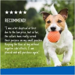 Adams® Adams Flea & Tick Collar For Dogs, Extra Small/Toy & Small Breeds 16 Adams® Adams Flea & Tick Collar For Dogs, Extra Small/Toy & Small Breeds -Snuggle Paws 122959 PT6. AC SS1800 V1696533257