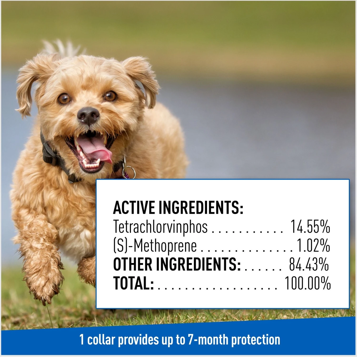 Adams® Adams Flea & Tick Collar For Dogs, Extra Small/Toy & Small Breeds 10 Adams® Adams Flea & Tick Collar For Dogs, Extra Small/Toy & Small Breeds - Image 8