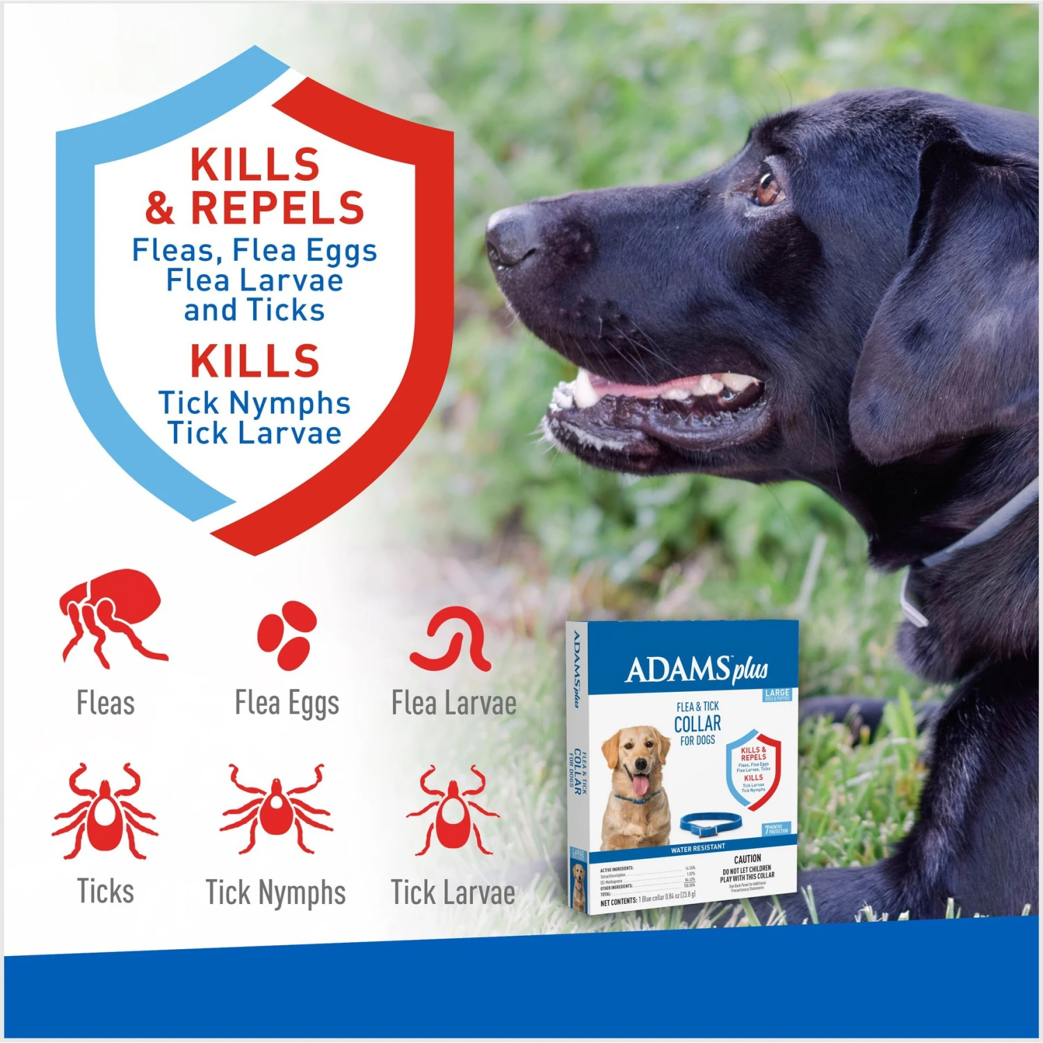 Adams® Adams Flea & Tick Collar For Dogs, Medium, Large, & Giant Breeds, 1 Collar (7-mos. Supply) 4 Adams® Adams Flea & Tick Collar For Dogs, Medium, Large, & Giant Breeds, 1 Collar (7-mos. Supply) - Image 2