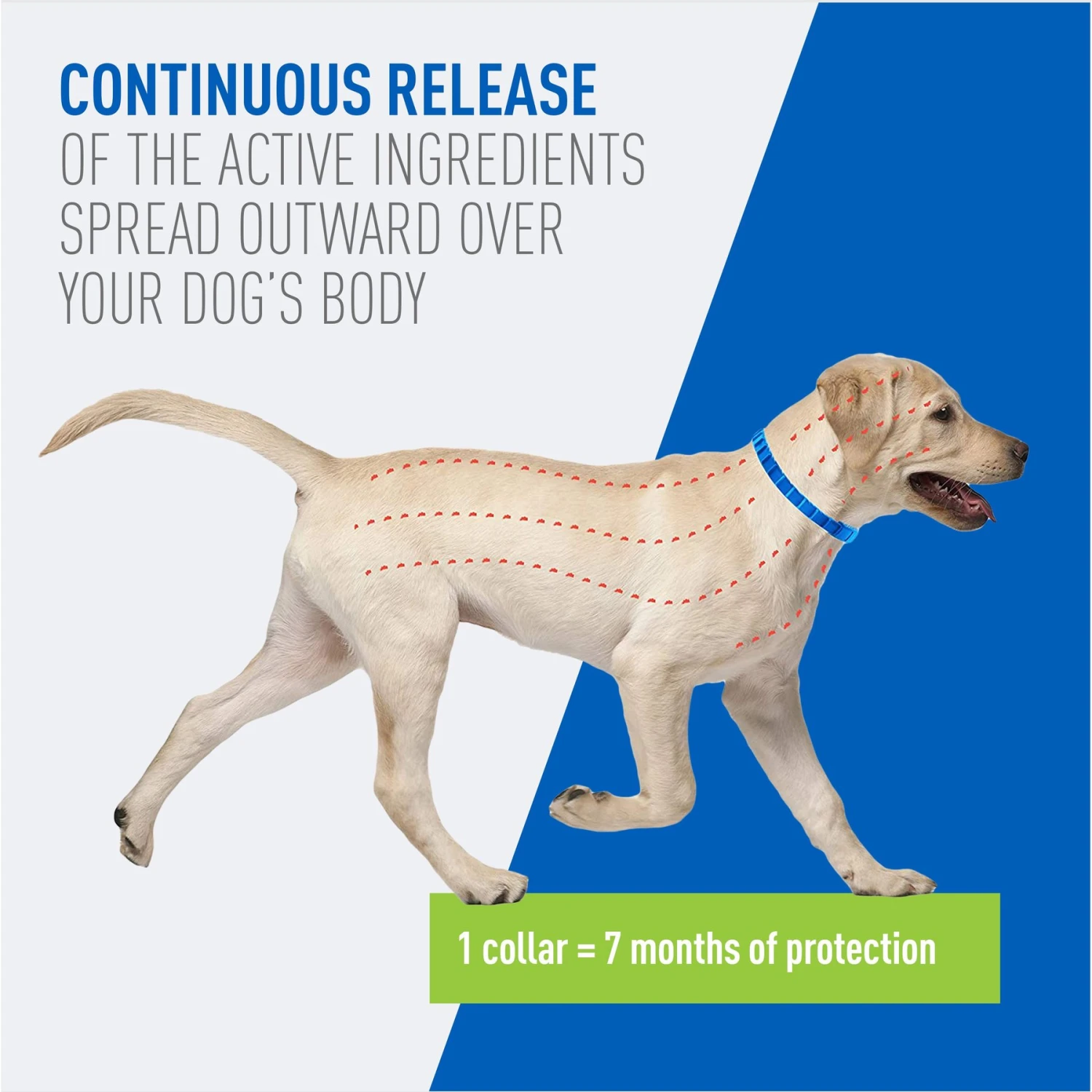 Adams® Adams Flea & Tick Collar For Dogs, Medium, Large, & Giant Breeds, 1 Collar (7-mos. Supply) 6 Adams® Adams Flea & Tick Collar For Dogs, Medium, Large, & Giant Breeds, 1 Collar (7-mos. Supply) - Image 4
