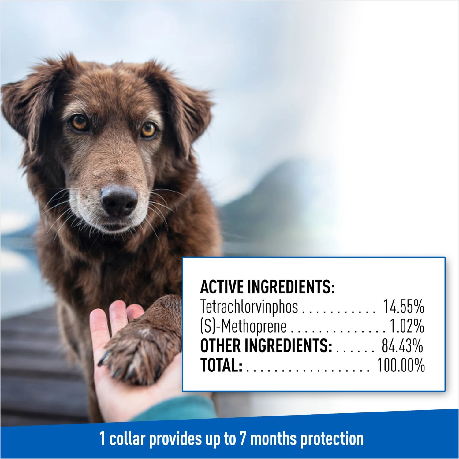 Adams® Adams Flea & Tick Collar For Dogs, Medium, Large, & Giant Breeds, 1 Collar (7-mos. Supply) 10 Adams® Adams Flea & Tick Collar For Dogs, Medium, Large, & Giant Breeds, 1 Collar (7-mos. Supply) - Image 8