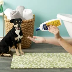 Zodiac Oatmeal Conditioning Flea & Tick Shampoo For Dogs & Puppies 12 Zodiac Oatmeal Conditioning Flea & Tick Shampoo For Dogs & Puppies -Snuggle Paws 123080 PT3. AC SS1800 V1543943048