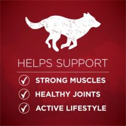 Purina ONE True Instinct Natural High Protein With Real Turkey & Venison Dry Dog Food 13 Purina ONE True Instinct Natural High Protein With Real Turkey & Venison Dry Dog Food -Snuggle Paws 126354 PT2. AC SS1800 V1674848795