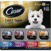 Cesar Loaf In Sauce Variety Pack Grain-Free Small Breed Adult Wet Dog Food Trays -Snuggle Paws 128531 MAIN. AC SS1800 V1695653229