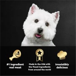 Cesar Loaf In Sauce Variety Pack Grain-Free Small Breed Adult Wet Dog Food Trays -Snuggle Paws 128531 PT4. AC SS1800 V1695662247