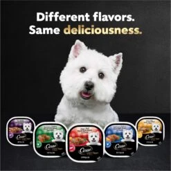 Cesar Loaf In Sauce Variety Pack Grain-Free Small Breed Adult Wet Dog Food Trays -Snuggle Paws 128531 PT7. AC SS1800 V1695666299