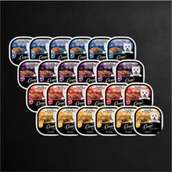 Cesar Loaf In Sauce Variety Pack Grain-Free Small Breed Adult Wet Dog Food Trays -Snuggle Paws 128531 PT8. AC SS1800 V1695676352