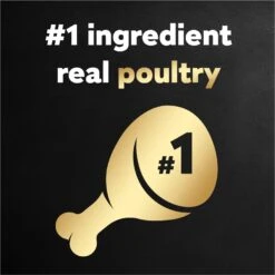 Cesar Poultry Lovers Variety Pack Small Breed Adult Wet Dog Food Trays 14 Cesar Poultry Lovers Variety Pack Small Breed Adult Wet Dog Food Trays -Snuggle Paws 128541 PT3. AC SS1800 V1695662182