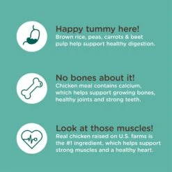 Rachael Ray Nutrish Bright Puppy Natural Real Chicken & Brown Rice Recipe Dry Dog Food -Snuggle Paws 129819 PT5. AC SS1800 V1657655411