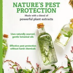 Natural Care Flea & Tick Dog Shampoo, 12-oz Bottle -Snuggle Paws 130100 PT4. AC SS1800 V1632175603