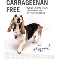 I And Love And You Beef Booyah And Lambarama Stew Grain-Free Combo Pack Canned Dog Food -Snuggle Paws 130167 PT6. AC SS1800 V1612408350