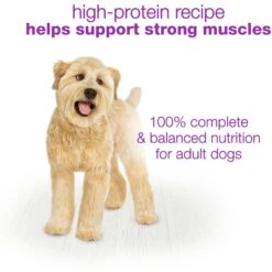 Purina Beneful Chopped Blends With Chicken, Carrots, Peas & Wild Rice Wet Dog Food 18 Purina Beneful Chopped Blends With Chicken, Carrots, Peas & Wild Rice Wet Dog Food -Snuggle Paws 130959 PT7. AC SS1800 V1700159717