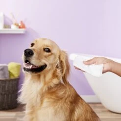 Nootie Sweet Pea & Vanilla Dog & Cat Waterless Shampoo Wipes -Snuggle Paws 132626 PT2. AC SS1800 V1543958959