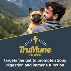 Black Gold Explorer Mature 7+ Formula Dry Dog Food, 40-lb Bag 12 Black Gold Explorer Mature 7+ Formula Dry Dog Food, 40-lb Bag -Snuggle Paws 133069 PT3. AC SS1800 V1652742713