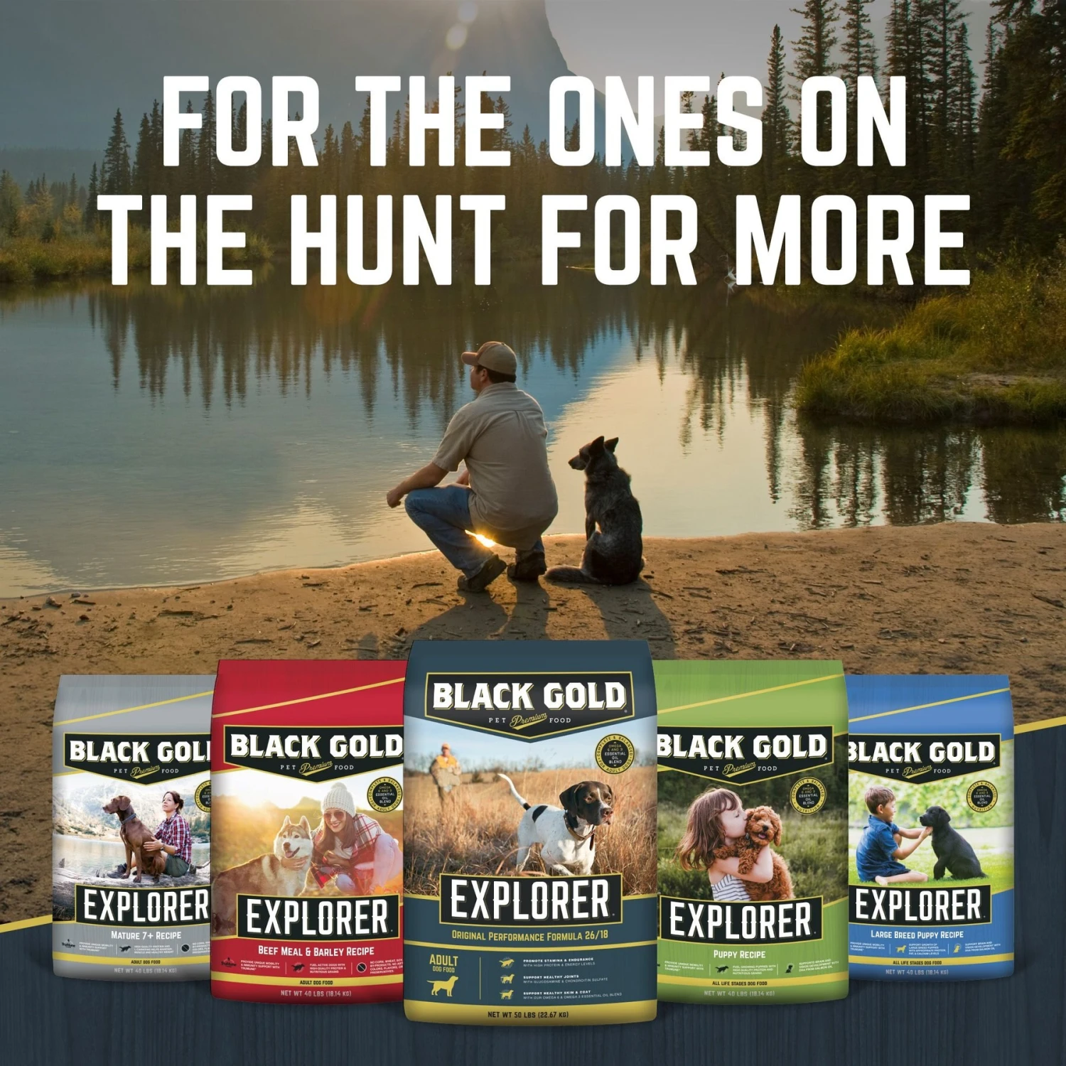 Black Gold Explorer Mature 7+ Formula Dry Dog Food, 40-lb Bag 9 Black Gold Explorer Mature 7+ Formula Dry Dog Food, 40-lb Bag - Image 7
