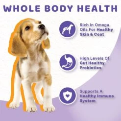 Halo Chicken Recipe Grain-Free Puppy Canned Dog Food 12 Halo Chicken Recipe Grain-Free Puppy Canned Dog Food -Snuggle Paws 133085 PT4. AC SS1800 V1625582615