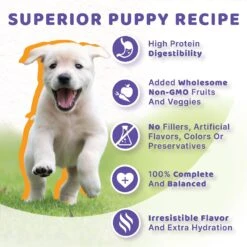 Halo Chicken Recipe Grain-Free Puppy Canned Dog Food 13 Halo Chicken Recipe Grain-Free Puppy Canned Dog Food -Snuggle Paws 133085 PT5. AC SS1800 V1625582612