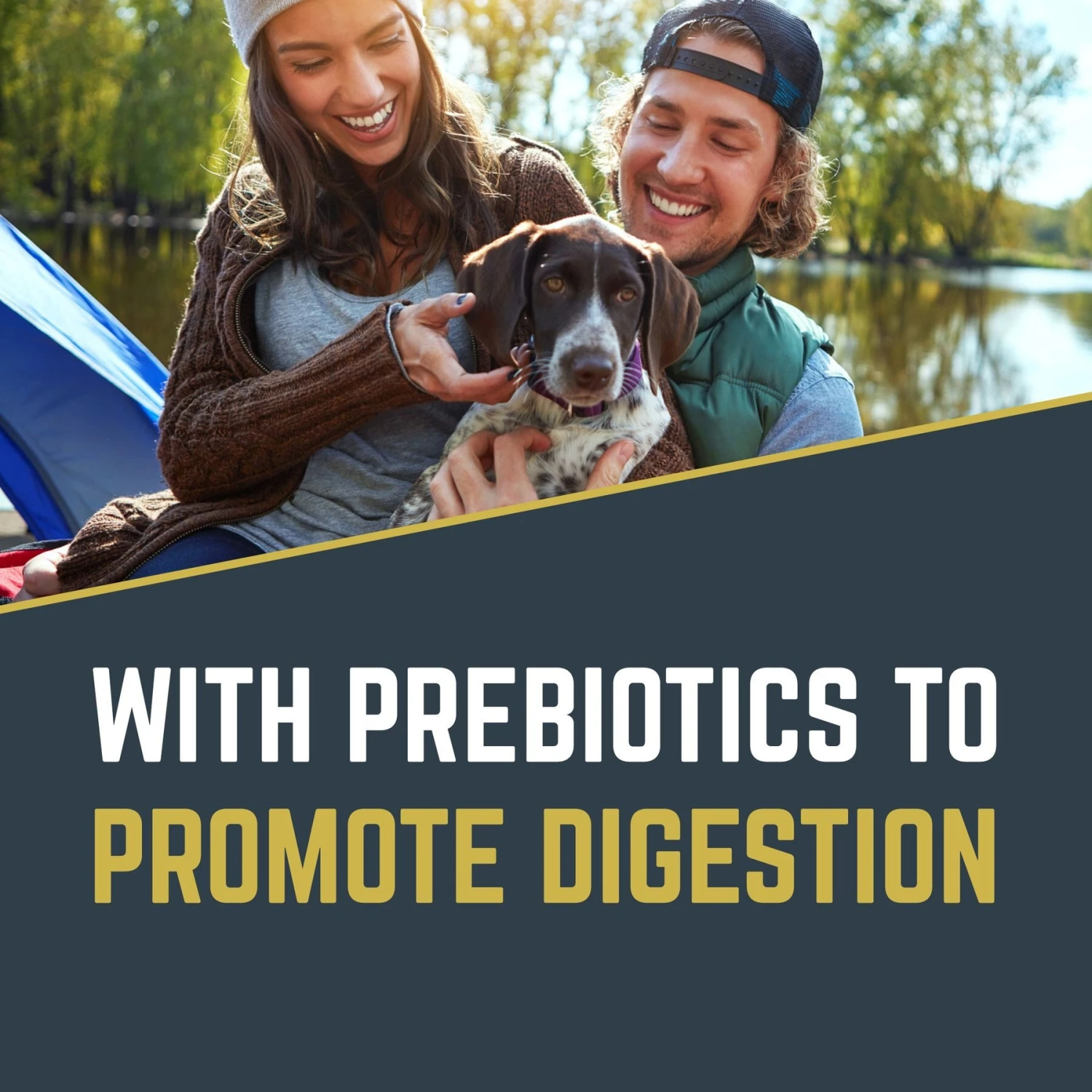 Black Gold Explorer Original Performance 26/18 Dry Dog Food 4 Black Gold Explorer Original Performance 26/18 Dry Dog Food - Image 2