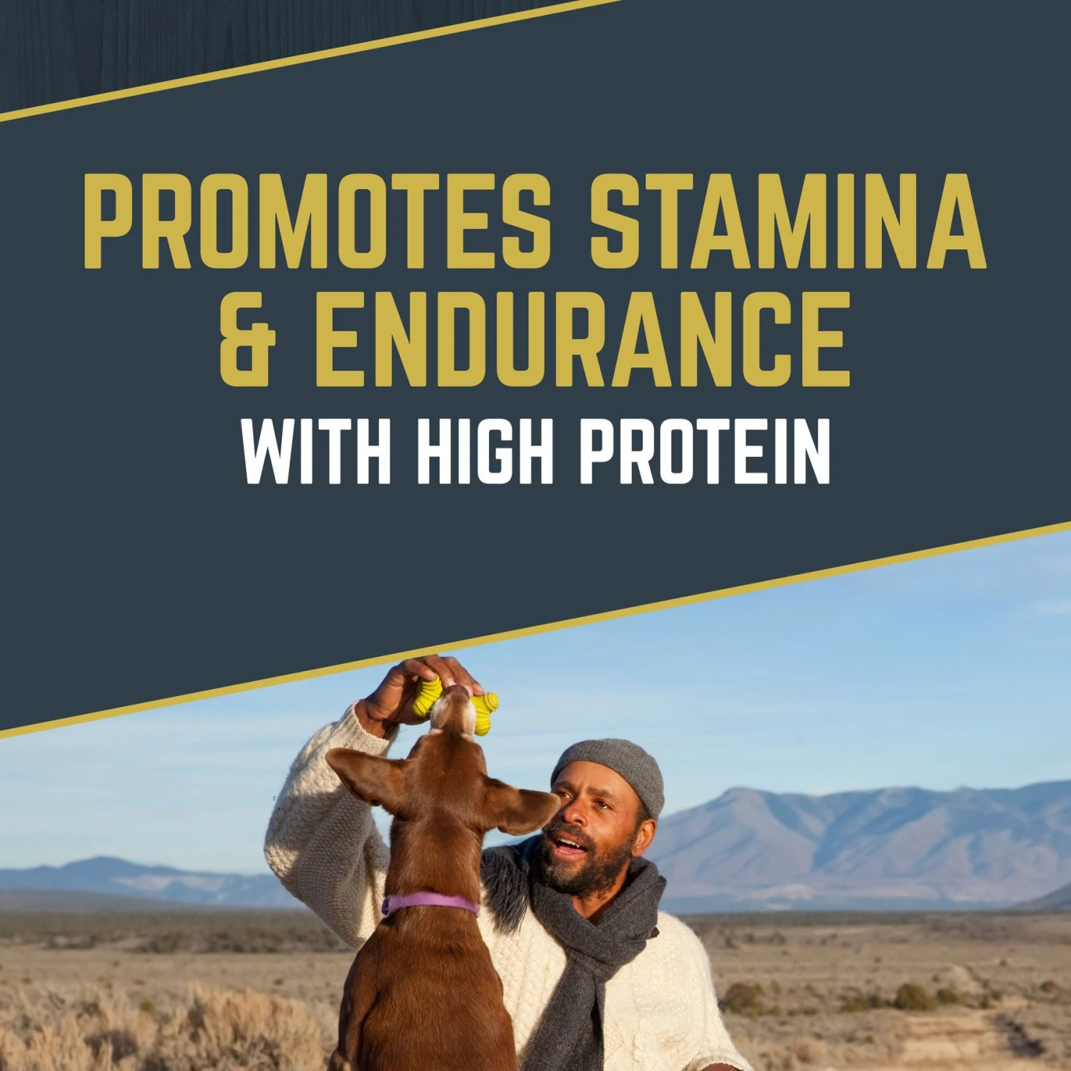 Black Gold Explorer Original Performance 26/18 Dry Dog Food 6 Black Gold Explorer Original Performance 26/18 Dry Dog Food - Image 4