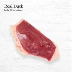 American Journey Limited Ingredient Diet Duck & Sweet Potato Recipe Grain-Free Canned Dog Food -Snuggle Paws 133877 PT4. AC SS1800 V1696622786