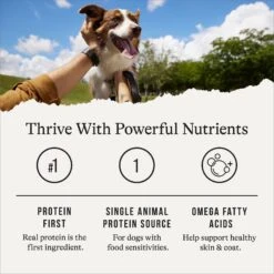 American Journey Limited Ingredient Diet Duck & Sweet Potato Recipe Grain-Free Canned Dog Food -Snuggle Paws 133877 PT5. AC SS1800 V1696622785