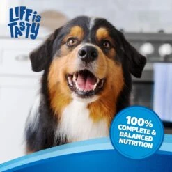 Kibbles 'n Bits Original Savory Beef & Chicken Flavors Dry Dog Food -Snuggle Paws 134039 PT5. AC SS1800 V1693496079