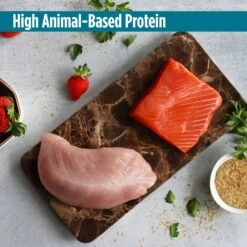 Nulo Freestyle Salmon & Turkey Recipe With Strawberries Grain-Free Freeze-Dried Raw Dog Food 16 Nulo Freestyle Salmon & Turkey Recipe With Strawberries Grain-Free Freeze-Dried Raw Dog Food -Snuggle Paws 135482 PT5. AC SS1800 V1667864682