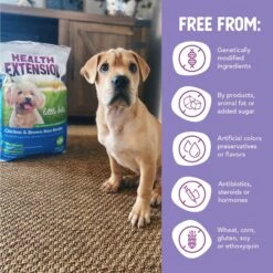 Health Extension Little Bites Chicken & Brown Rice Recipe Dry Dog Food 16 Health Extension Little Bites Chicken & Brown Rice Recipe Dry Dog Food -Snuggle Paws 135733 PT6. AC SS1800 V1595628353