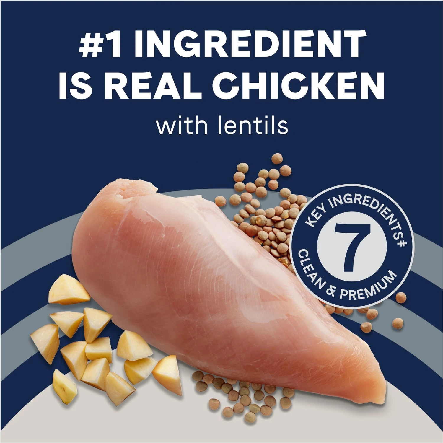 CANIDAE Grain-Free PURE Limited Ingredient Chicken, Lentil & Potato Recipe Dry Dog Food 7 CANIDAE Grain-Free PURE Limited Ingredient Chicken, Lentil & Potato Recipe Dry Dog Food - Image 5