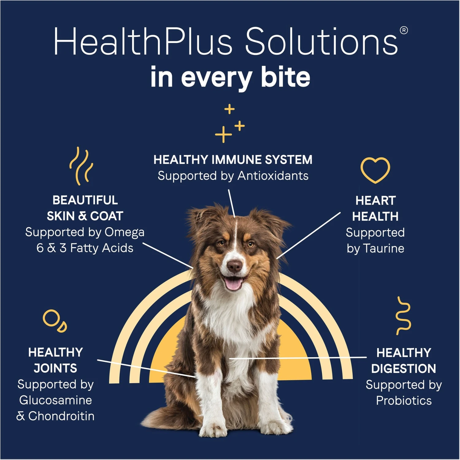 CANIDAE Grain-Free PURE Limited Ingredient Chicken, Lentil & Potato Recipe Dry Dog Food 8 CANIDAE Grain-Free PURE Limited Ingredient Chicken, Lentil & Potato Recipe Dry Dog Food - Image 6