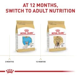 Royal Canin Breed Health Nutrition French Bulldog Puppy Dry Dog Food 17 Royal Canin Breed Health Nutrition French Bulldog Puppy Dry Dog Food -Snuggle Paws 138982 PT6. AC SS1800 V1697213498