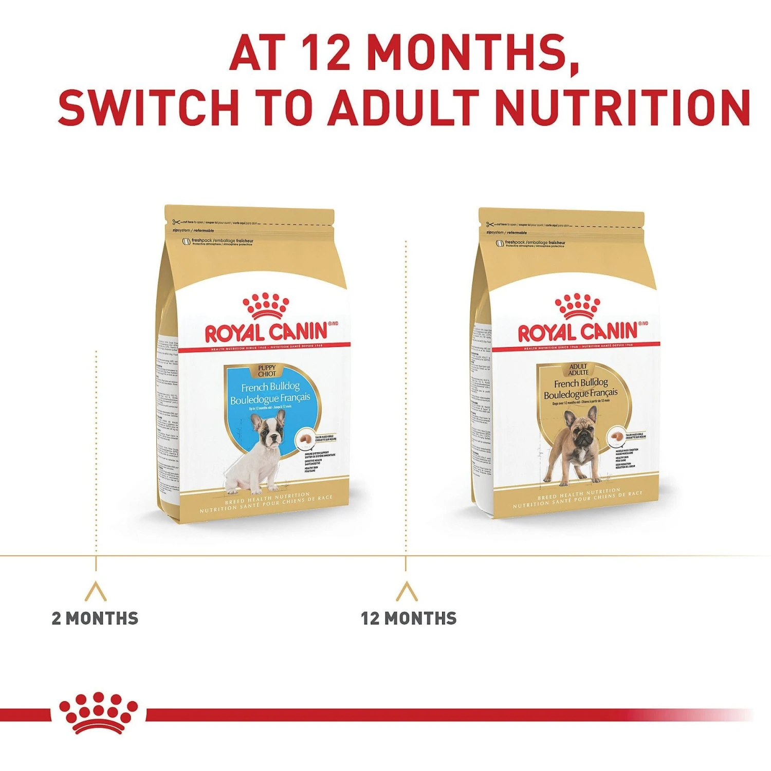 Royal Canin Breed Health Nutrition French Bulldog Puppy Dry Dog Food 9 Royal Canin Breed Health Nutrition French Bulldog Puppy Dry Dog Food - Image 7
