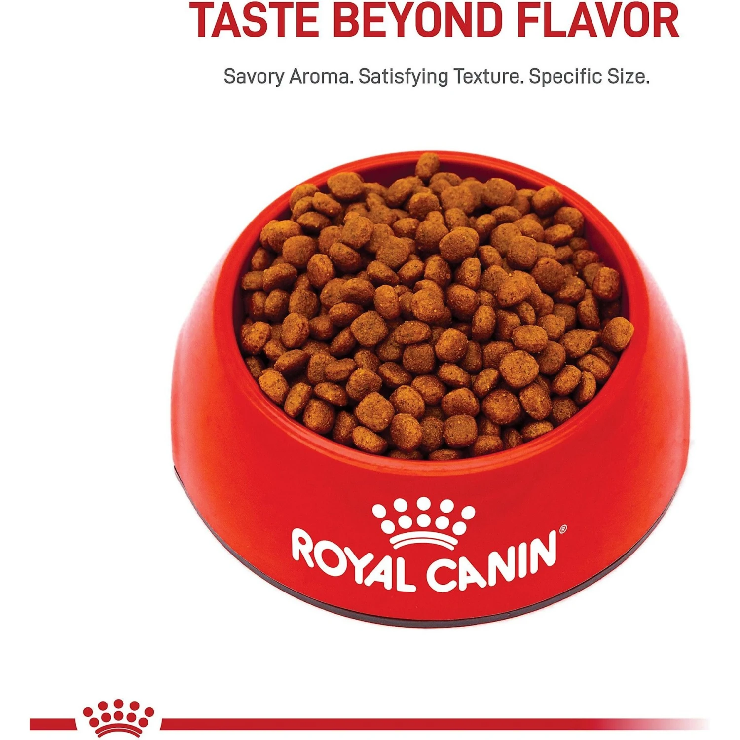 Royal Canin Breed Health Nutrition Cavalier King Charles Puppy Dry Dog Food 4 Royal Canin Breed Health Nutrition Cavalier King Charles Puppy Dry Dog Food - Image 2