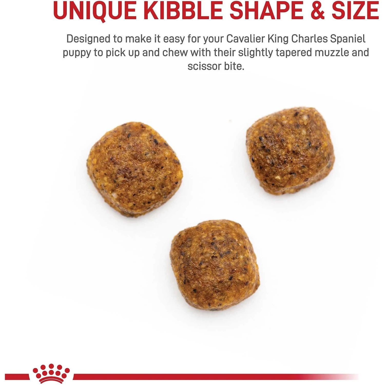 Royal Canin Breed Health Nutrition Cavalier King Charles Puppy Dry Dog Food 6 Royal Canin Breed Health Nutrition Cavalier King Charles Puppy Dry Dog Food - Image 4