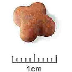 Royal Canin Breed Health Nutrition Jack Russell Terrier Puppy Dry Dog Food -Snuggle Paws 138997 PT7. AC SS1800 V1550513918