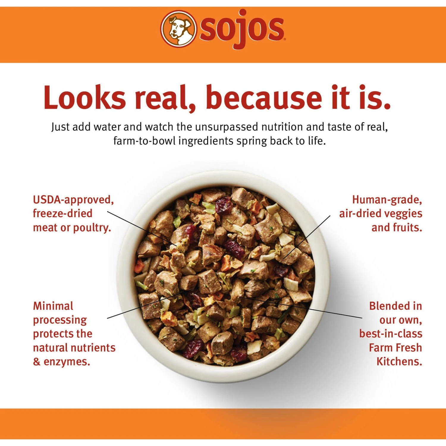 Sojos Complete Lamb Recipe Adult Grain-Free Freeze-Dried Dehydrated Dog Food 4 Sojos Complete Lamb Recipe Adult Grain-Free Freeze-Dried Dehydrated Dog Food - Image 2