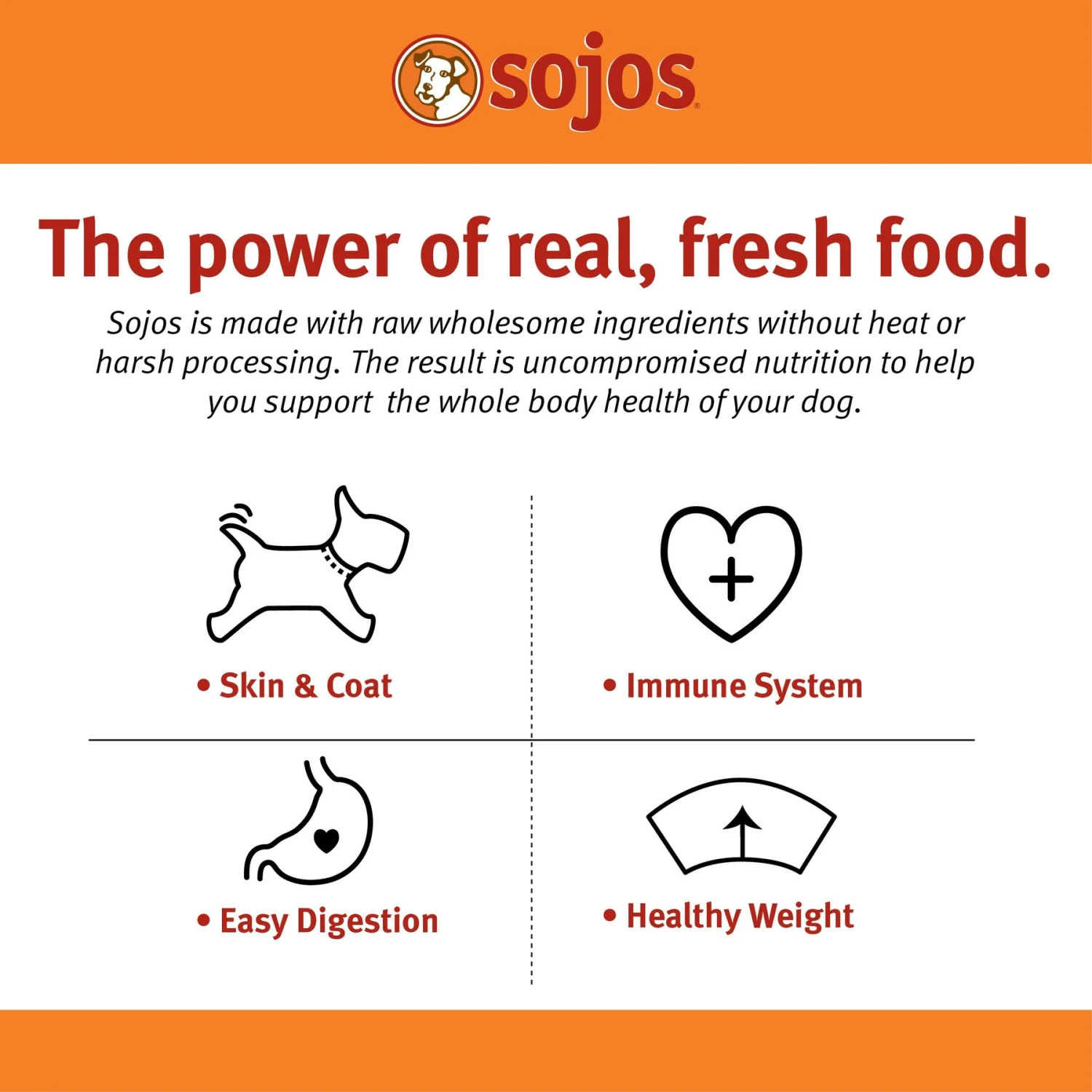 Sojos Complete Lamb Recipe Adult Grain-Free Freeze-Dried Dehydrated Dog Food 5 Sojos Complete Lamb Recipe Adult Grain-Free Freeze-Dried Dehydrated Dog Food - Image 3
