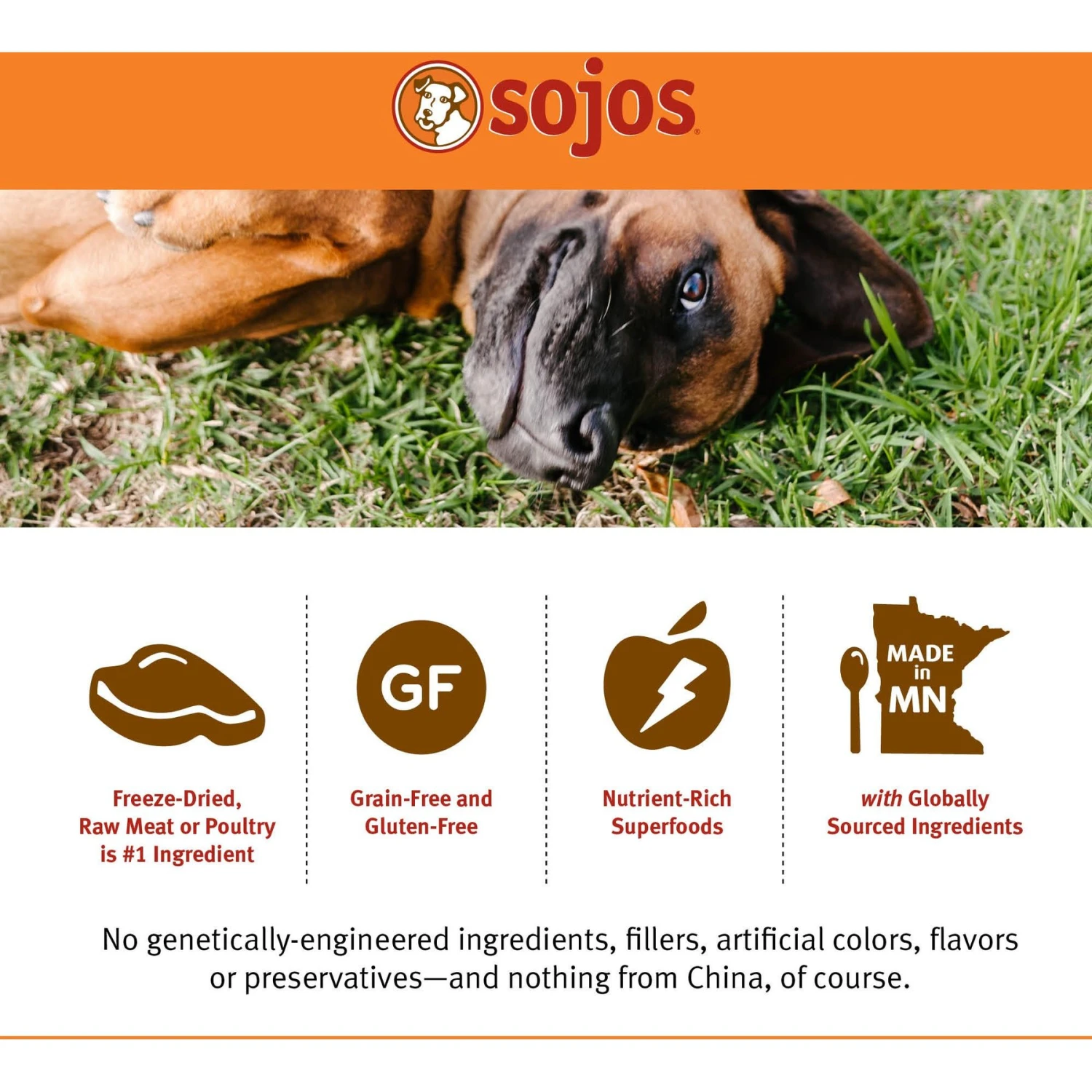 Sojos Complete Lamb Recipe Adult Grain-Free Freeze-Dried Dehydrated Dog Food 7 Sojos Complete Lamb Recipe Adult Grain-Free Freeze-Dried Dehydrated Dog Food - Image 5