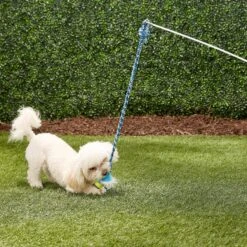 Pet Fit For Life Plush Wand Squeaky Dog Toy 10 Pet Fit For Life Plush Wand Squeaky Dog Toy -Snuggle Paws 140063 PT2. AC SS1800 V1589320911