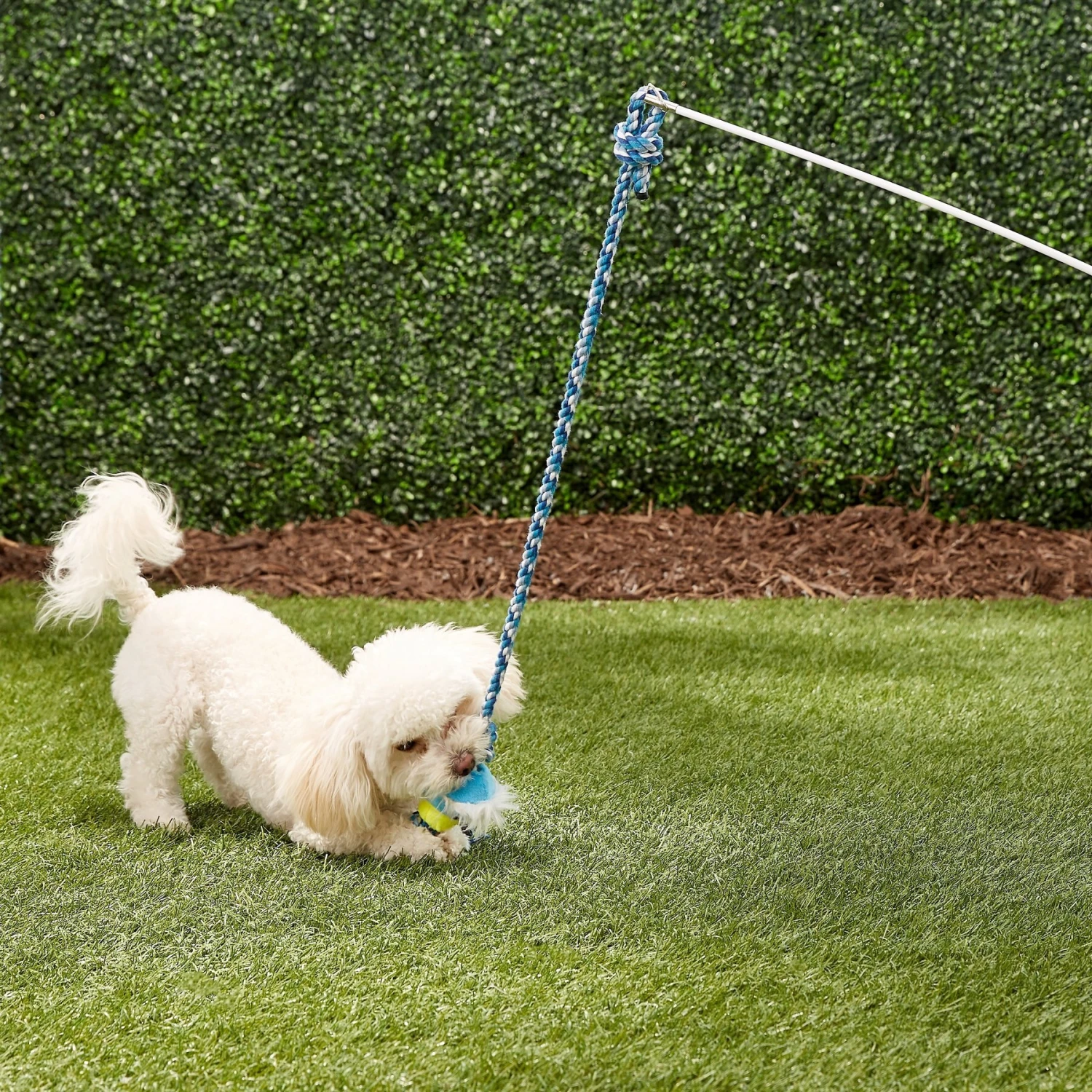 Pet Fit For Life Plush Wand Squeaky Dog Toy 5 Pet Fit For Life Plush Wand Squeaky Dog Toy - Image 3